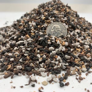 May include: A mound of potting soil mix containing dark brown organic matter, white perlite, and black volcanic rock fragments. A silver United States quarter coin is placed in the center of the pile to provide a scale reference for the particle size.