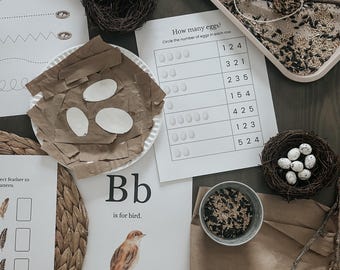 Homeschool Bird Unit Study Printable Bundle