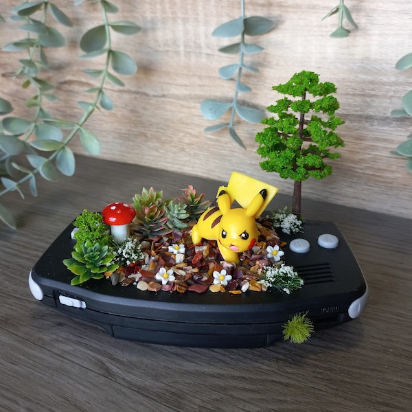 Terrarium Figurines Etsy Australia