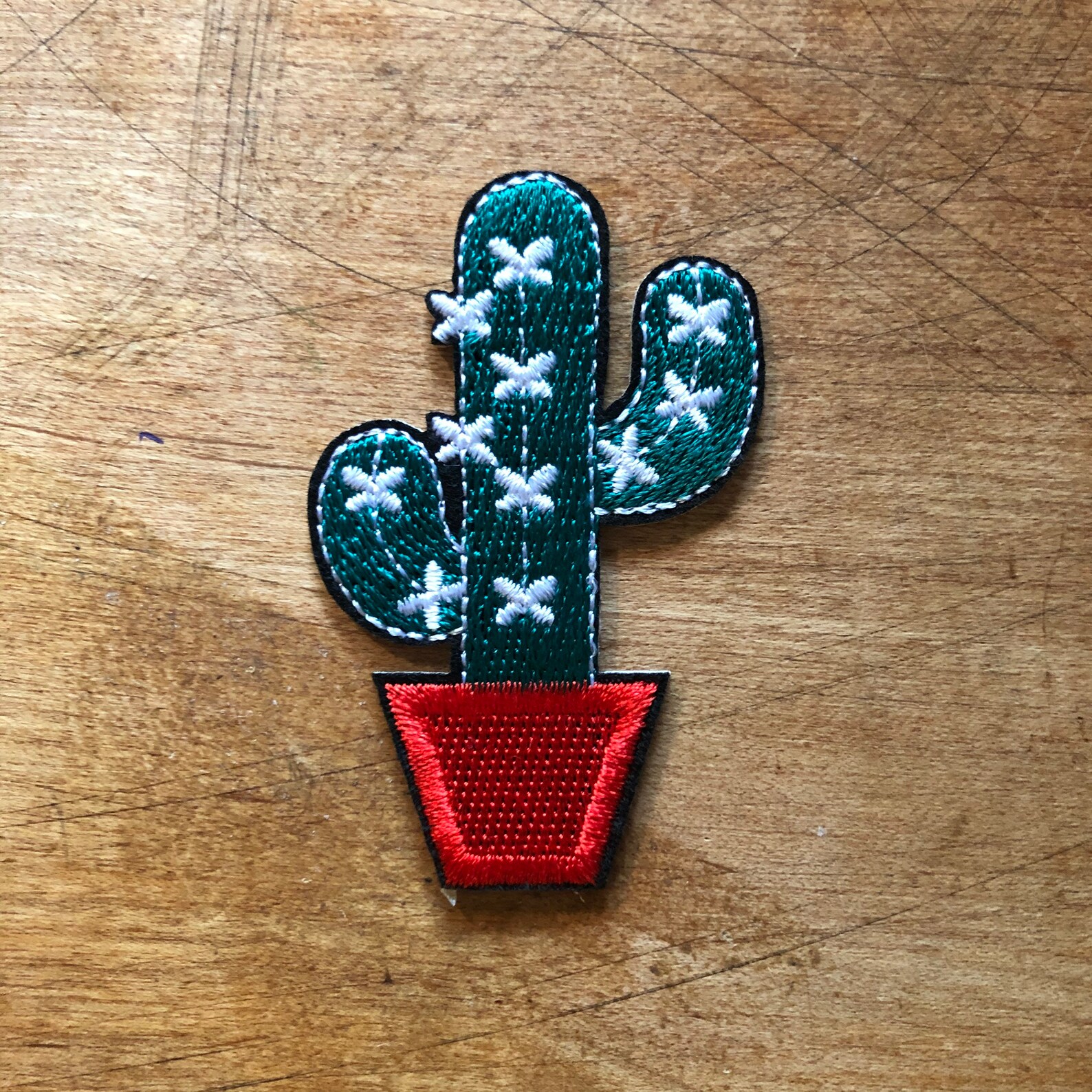 Cactus Iron on Patch Succulent Iron on Patch Patches Etsy