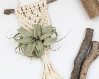 Mini Macrame Plant Hanger, Air Plant Hanger, Hanging Planter Indoor, Macrame Air Plant Holder