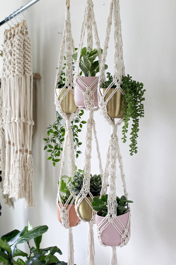Macrame succulent hanger online