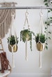 Macrame Plant Hanger, Hanging Planter, Indoor Plant Hanger 