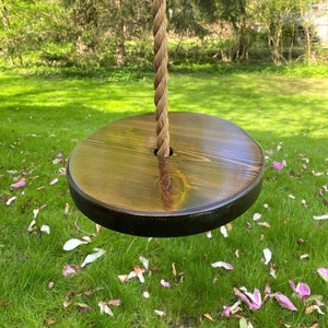 May include: A wooden swing seat with a rope hanging from it. The swing seat is dark brown and has a natural wood grain. The swing is hanging over a grassy area with pink flower petals scattered on the ground.