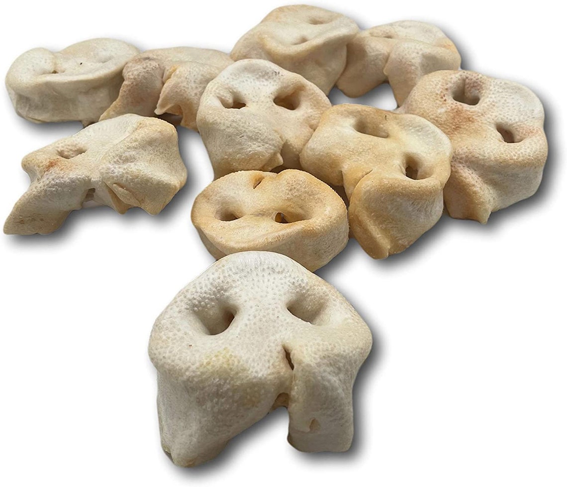 Top Dog Chews Pig Snouts 10 Pack. Single Ingredient All Etsy Canada