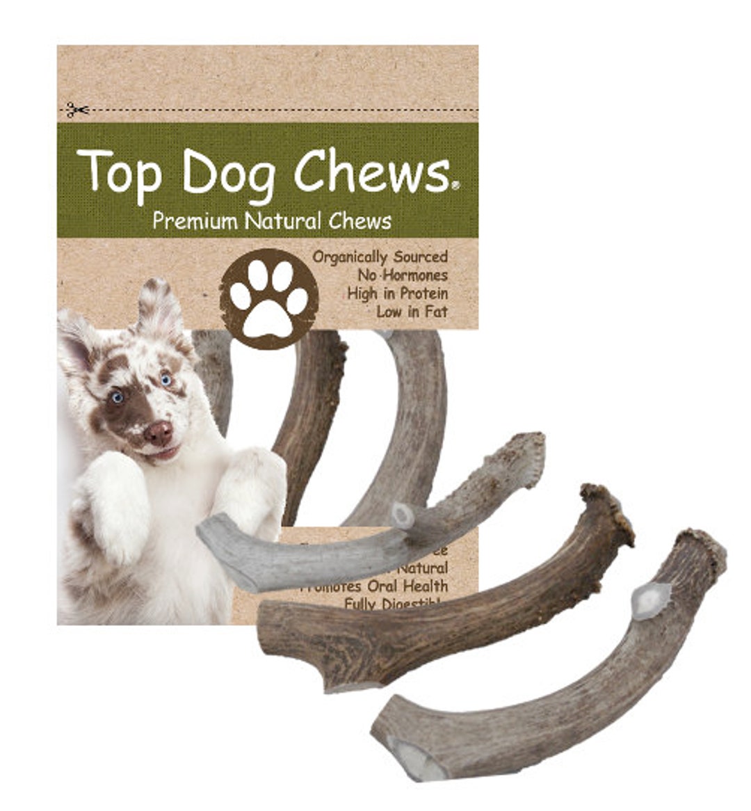 Jumbo Deer Antlers For Dogs (3-Pack) - All-Natural Top Dog Chews