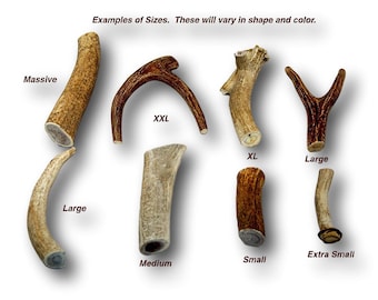 May include: Examples of different sizes of antler dog chews. The antler chews are in various shapes and colors. The sizes are labeled as Massive, Large, XXL, XL, Medium, Small, and Extra Small.
