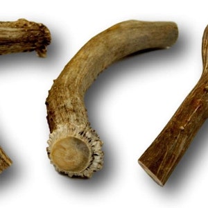Deer Antlers Dog Chew Treats - 3 Jumbo Deer Antlers - Top Dog Chews