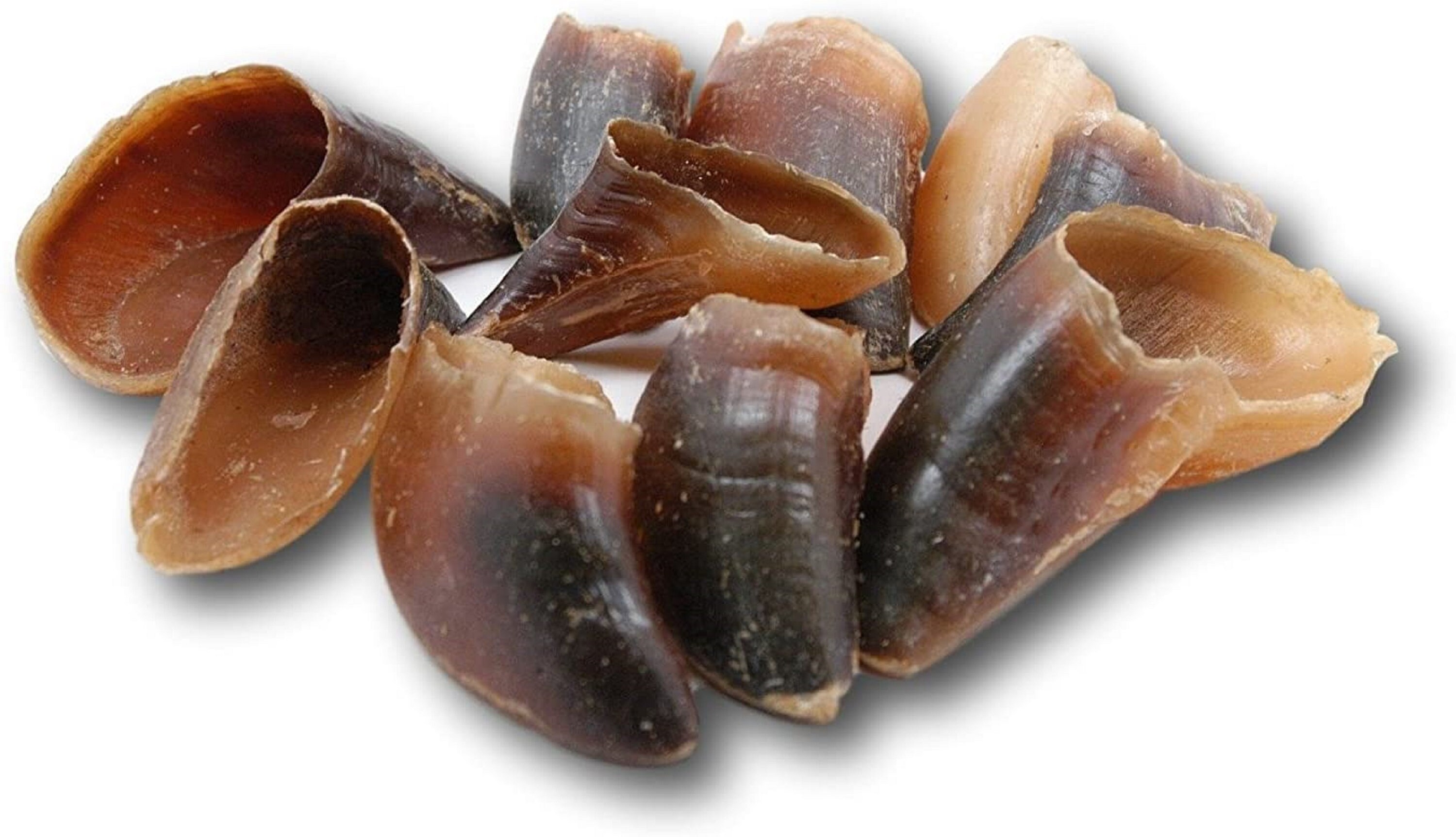 Natural Cow Hooves for Dogs QTY 25 Made in the USA Bulk Dog Etsy