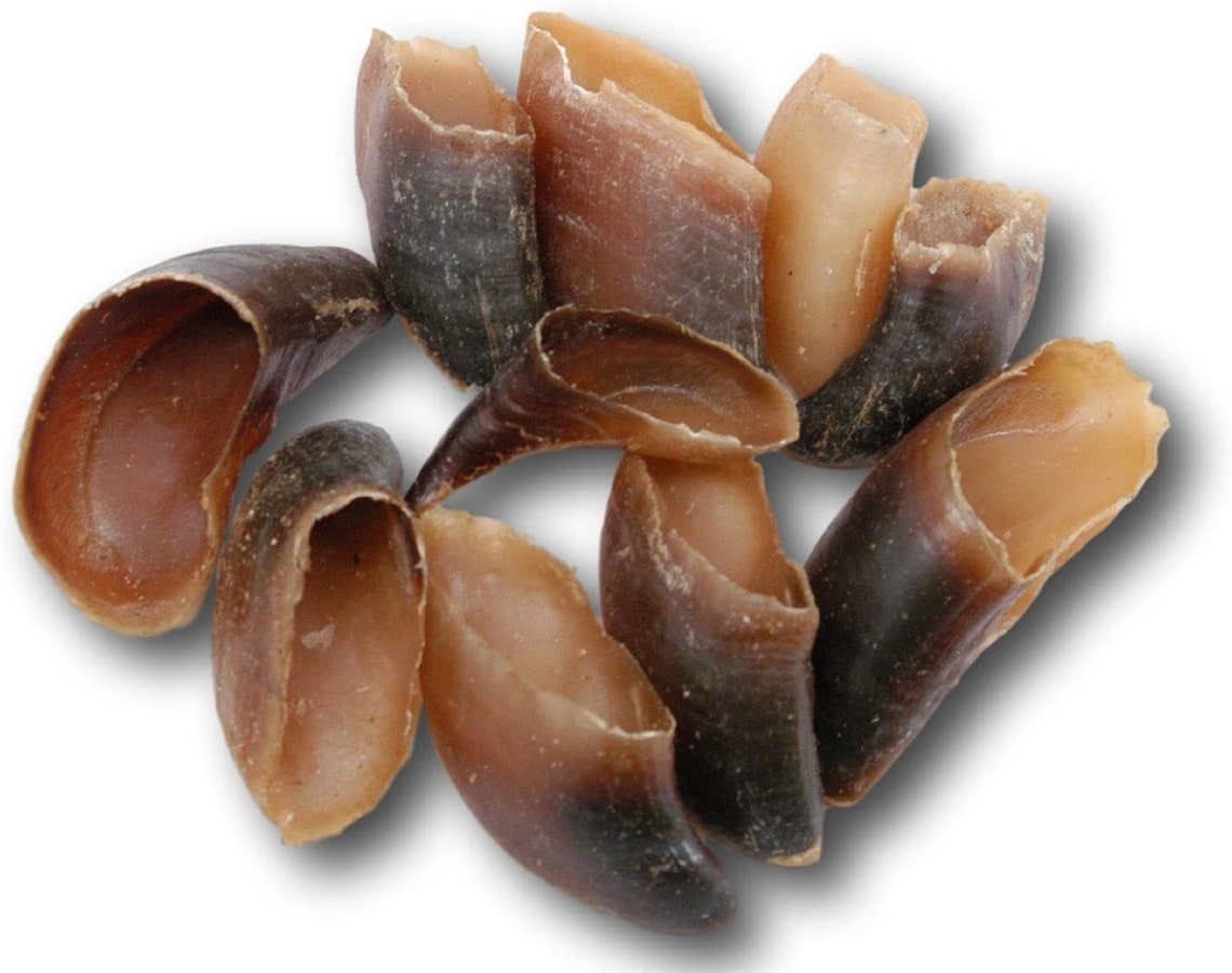 Natural Cow Hooves for Dogs QTY 25 Made in the USA Bulk Dog Etsy