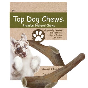Top Dog Chews Premium Large Grade A Whitetail Deer Antler for Dogs - Single Antler
