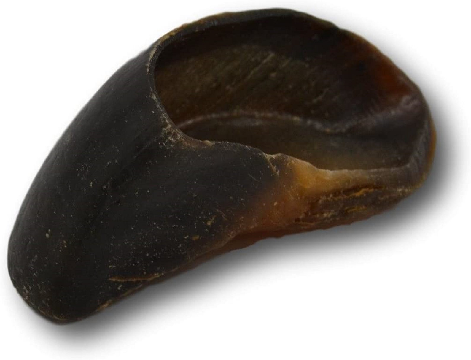 Natural Cow Hooves for Dogs QTY 25 Made in the USA Bulk Dog Etsy