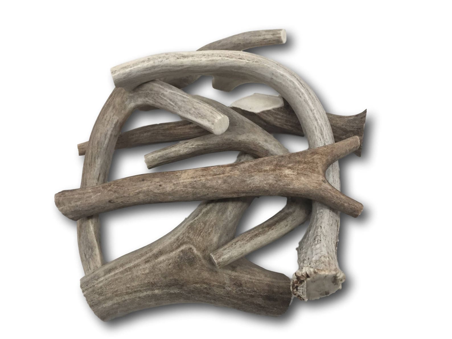 Premium Large Antler ONE POUND / an Ounce Variety Pack Etsy