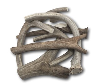 May include: A pile of natural antler dog chews. The antlers are various sizes and shapes, with a light brown color and some white markings.