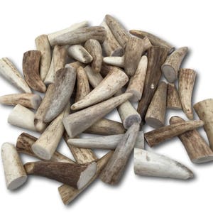 Premium Antler Tips / Points / Tines - By the Pound (+/- an Ounce)