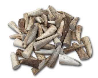 Premium Antler Tips / Points / Tines - By the Pound (+/- an Ounce)