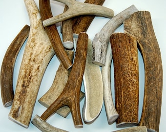 May include: A collection of various sizes and shapes of natural antler dog chews. The antlers are a light brown color and have a rough, textured surface.