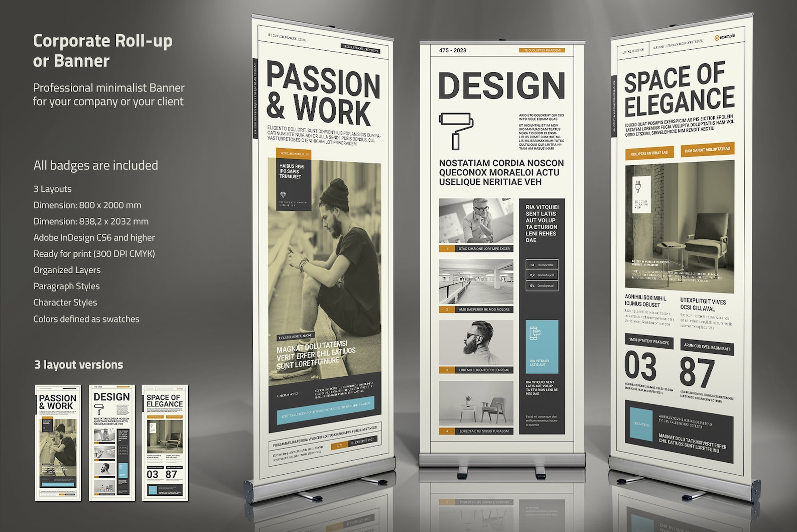 Indesign Chapter Banner Business Roll-up Banner | Indesign Template - Etsy