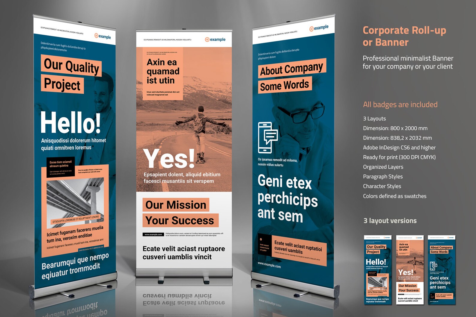 Indesign Chapter Banner Roll-up Banner | Indesign Template - Etsy