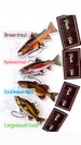 Fishing gift, Air Fresheners, fish, Fresh Fish Fisherman, Gifts for him, Outdoors, Fishing 3 PACK! 