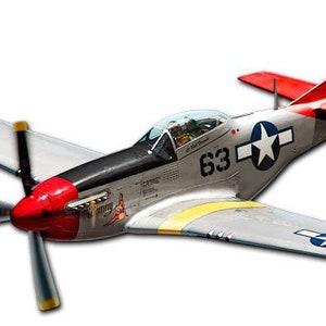 P-51 Fighter Airplane, Aviation Plasma Cut Metal Sign by Larry Grossman