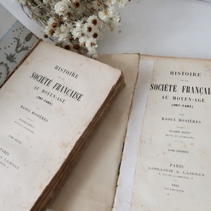2 antichi libri decorativi francesi Parigi 1882 Pila di libri Francia Decorazione della casa di campagna Arredamento della fattoria