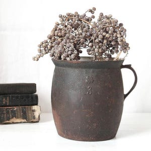 Antieke ijzeren pot van de boerderij, eenvoudige kookpot met handvat, grote kooklepelhouder, rustieke landelijke keukendecoratie, klaverblad