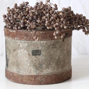 古い穀物計量器、農家の穀物計量器、5リットル、カントリーハウス、庭、浴槽、農家、キッチン、インテリア、秋の装飾、収納ポット、木箱、バスケット
