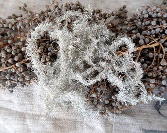 Antiker Weihnachtschmuck - Tinsel und Oblatenbild
