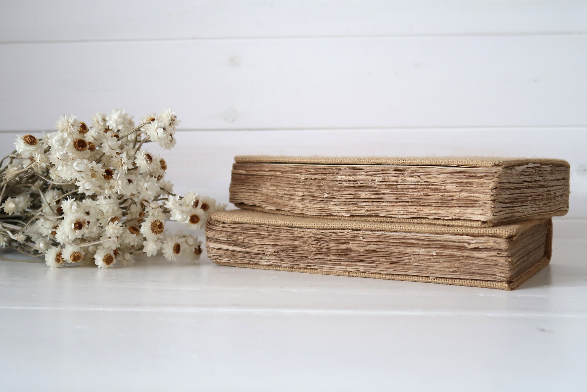 素敵なアンティーク本 2冊セット フランス ディスプレイ 素敵な