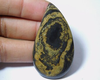 Square 31x33 mm Cabochon Minnesota Stromatolite Cabochon