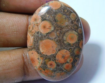 Natural Poppy Jasper Cabochon AAA+ Quality Gemstone Rare Poppy Jasper Stone....35X20X5mm...30cts....AZ493 Loose Jasper Gemstone