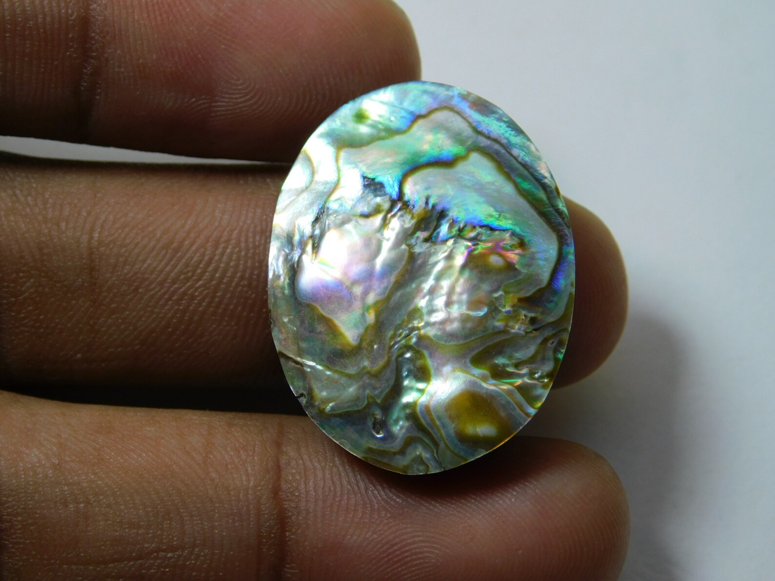 Natural Australian Abalone Shell Cabochon Top Quality Abalone Etsy