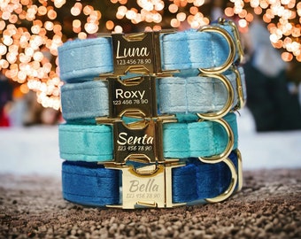 Personalized dog collar sky blue. Dog collars, custom dog collar, luxury dog collar, velvet dog collar, festive dog collar