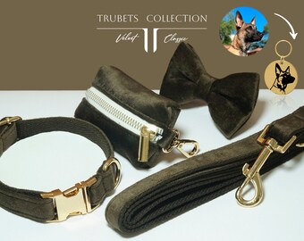 Custom Dog Collar Personalized Buckle. personalized dog collar tag, with name and phone numbers. Luxury dog collar. Velvet dog collar brown.