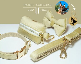 Set Colorful Velvet Personalized Dog Collar Leashes with Strap Bow, Beige Champagne, Pet Nameplate Engraved Metal Buckle, Puppy Wedding Gift