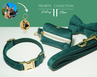 Conjunto de collar para perro de pana esmeralda, placa con nombre grabado personalizado, pajarita y correa.