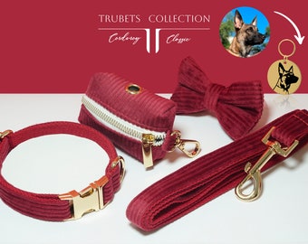 Multiple colorful Personalized Dog Collar, burgundy dog collar, Personalized Dog Collar with name, dog collar boy, small dog collar