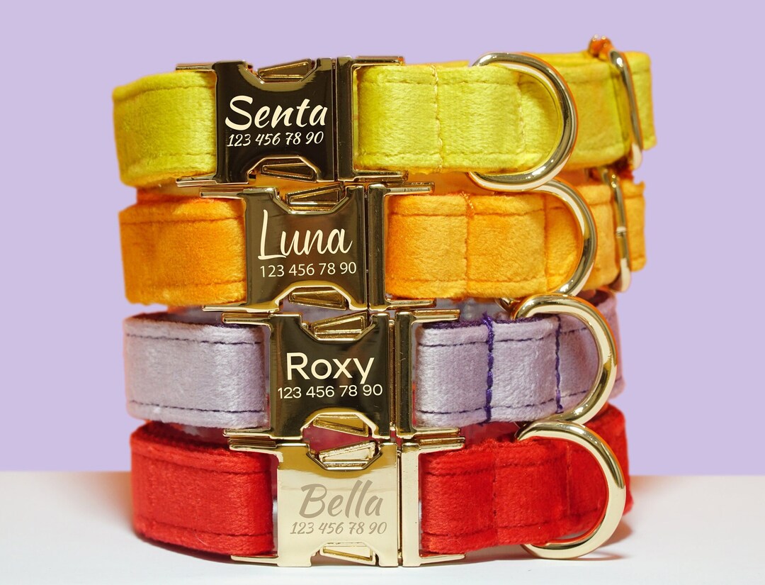 Personalized Dog Collars With Name. Dog Collars of Different Etsy