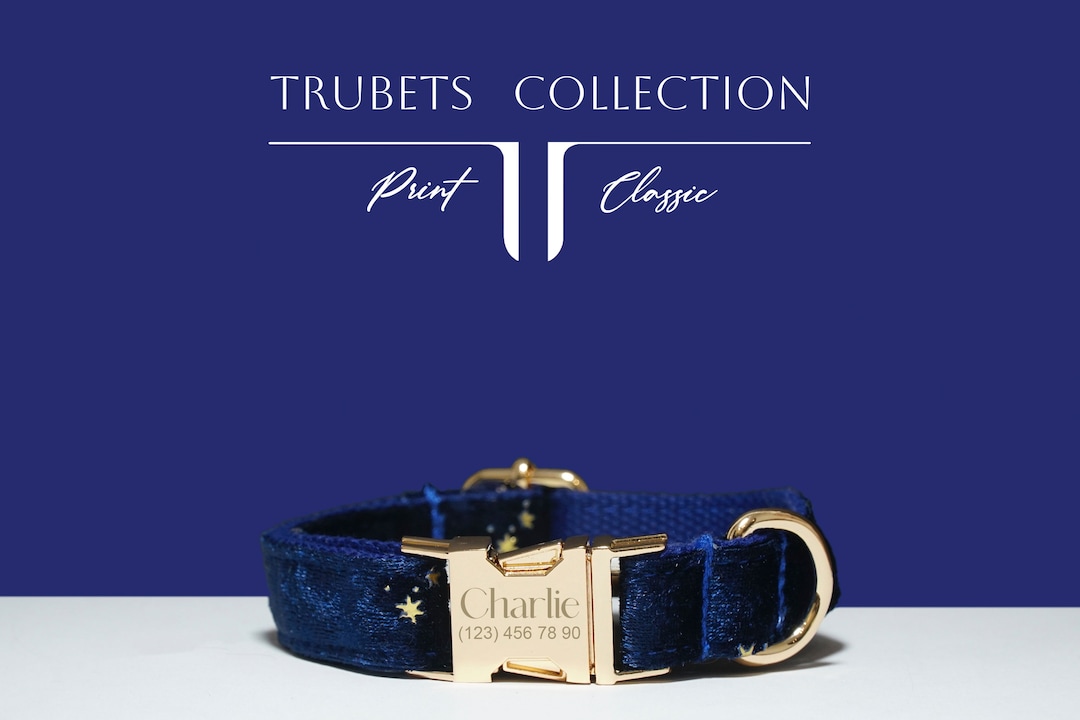 Personalized Dark Blue Velvet Dog Collar, Engraved Gold Buckle - Etsy