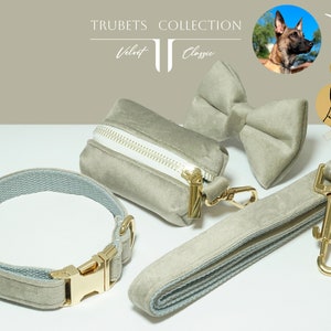 Set Colored Velvet Personalized dog collars Leash white, grey, brown Engraved Pet Name Plate Metal Buckle, Wedding Puppy Gift, Girls and Boy