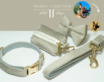 Personalized Velvet Dog Collar Leash Set, Engraved Pet Name, Wedding Puppy Gift