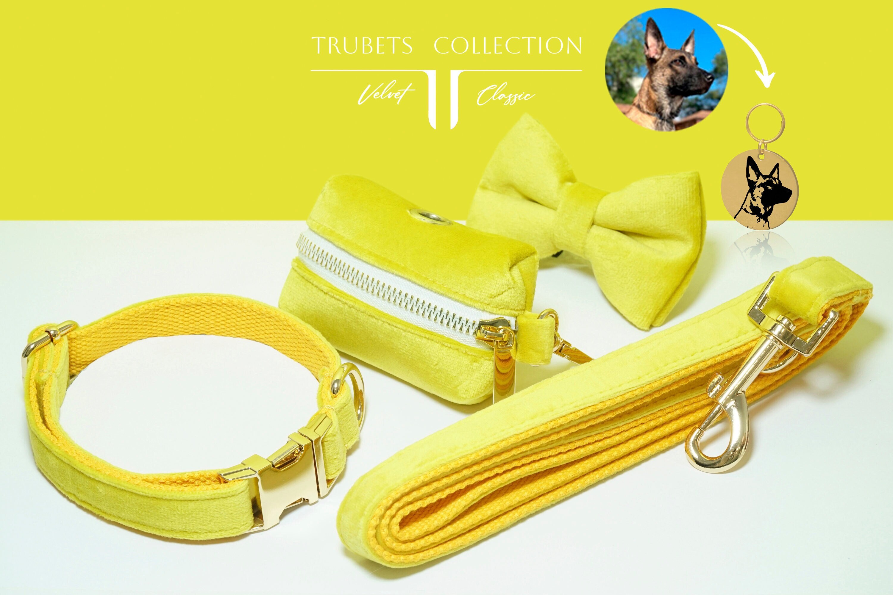 Set Multiple Colour Velvet Personalised Dog Collar Leash Set with Bow: Yellow, Green, Red, Blue. Dog name engraving. Comfortable collar dog