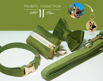 Personalized dog collars colorful. Custom Velvet Dog Collar Leash Bow Set. Personalized Puppy Collar with Engraved Name. Luxury dog collar.