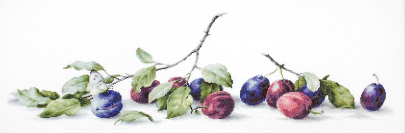 Fruit Embroidery Kit Cross Stitch Fruit Fruit Home Decor Fruit Design Kit Fruit Kit DIY Fruit Embroidery Fruit to Stitch Kit