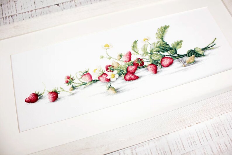 Fruit Embroidery Kit Cross Stitch Fruit Fruit Home Decor Fruit Design Kit Fruit Kit DIY Fruit Embroidery Fruit to Stitch Kit