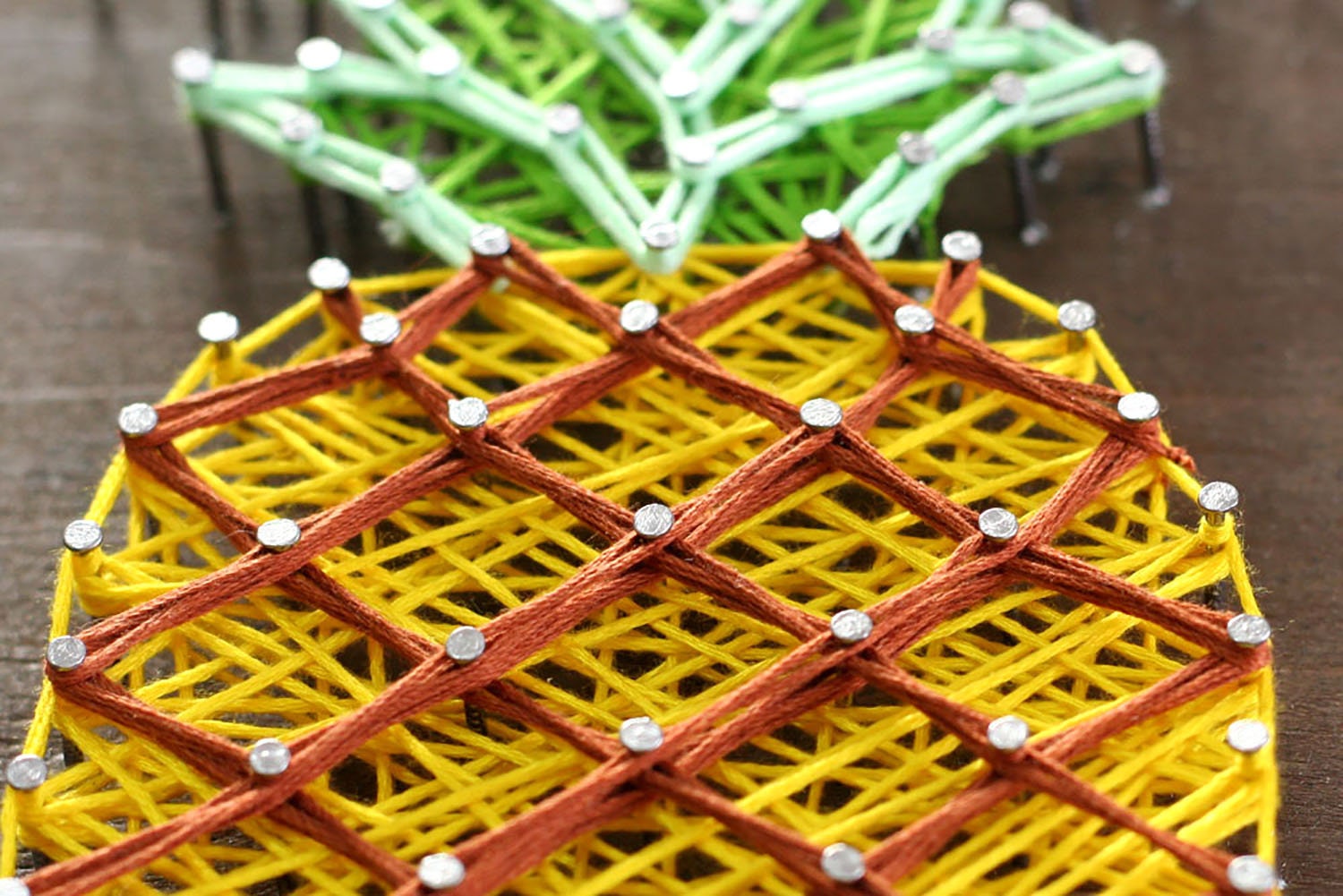 String Art Kit// Fruit String Art// String Art Fruit// Etsy