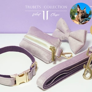 Set di collari per cani personalizzati con nome. Collari per cani di diversi colori: Lavanda (viola), Giallo, Rosso, Arancione. I migliori collari per cani colorati.