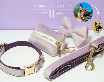 Personalized Velvet Dog Collar Set: Engraved Name, Leash, Bow Tie