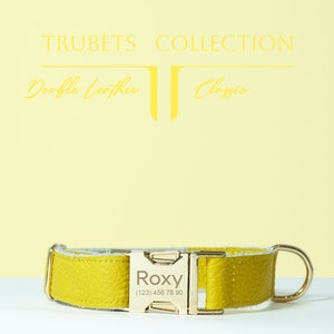 Collar de perro de cuero, collar de perro de cuero dorado, collar de perro personalizado, collar de perro niña, collar de perro de cuero personalizado, collar de perro niño